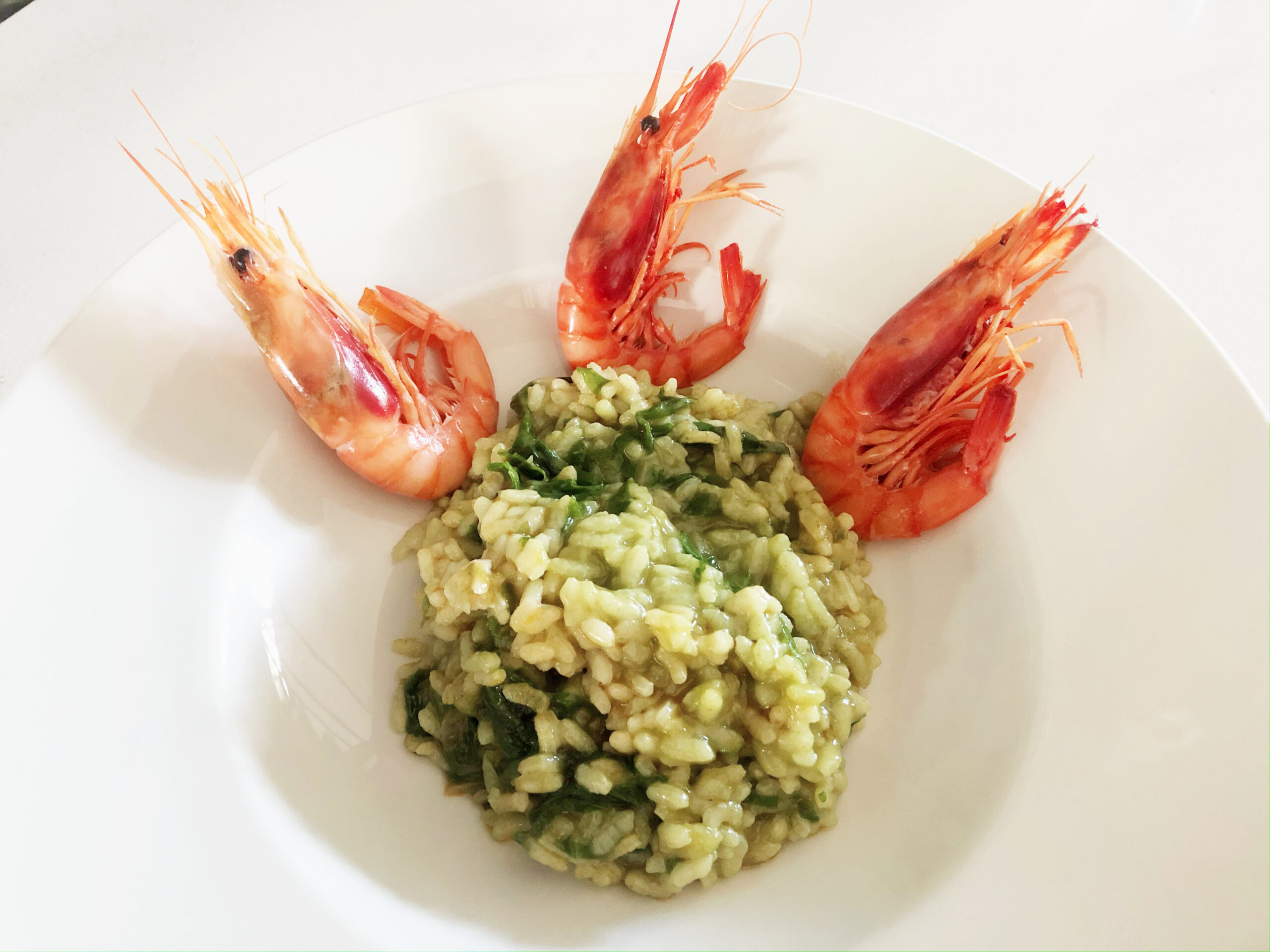 gamba amb bleda ret.jpeg scaled